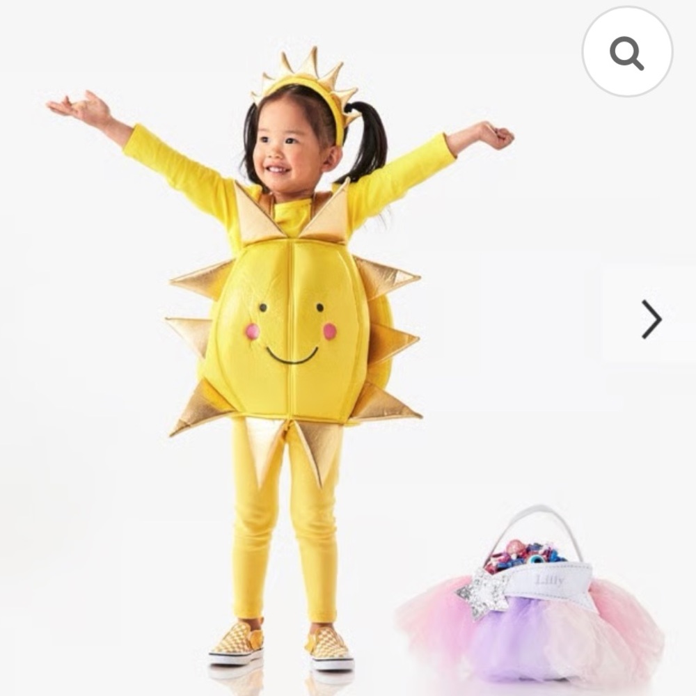 Pottery Barn Kids Smiling Sun Toddler Costume, size 3T